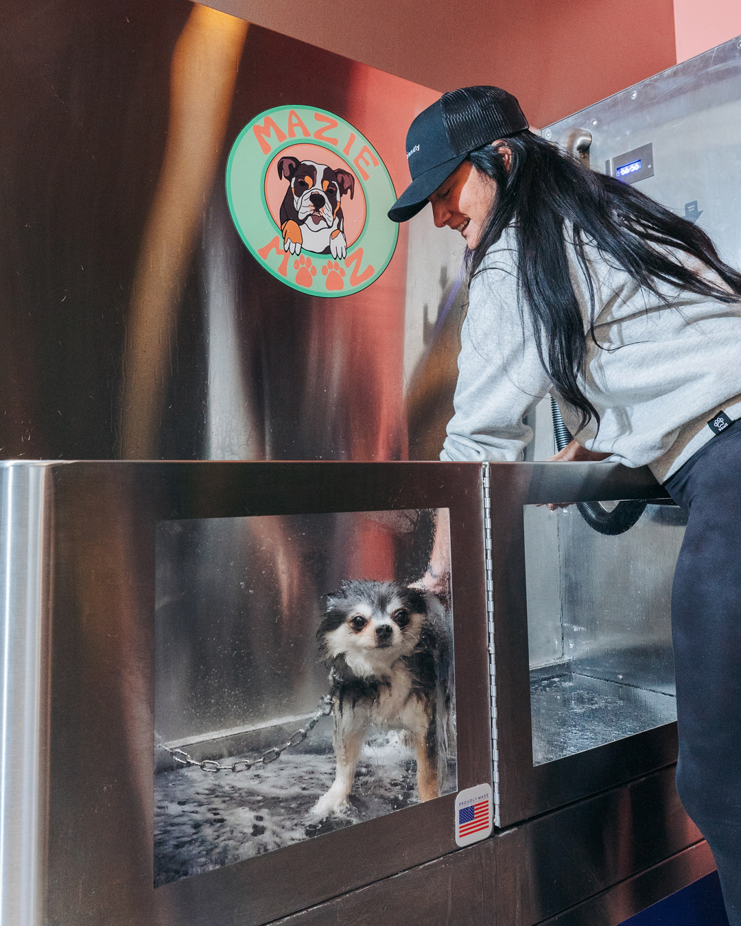 DogWatch Hidden Fences of Brighton: A Partnership for Growth and Community Support